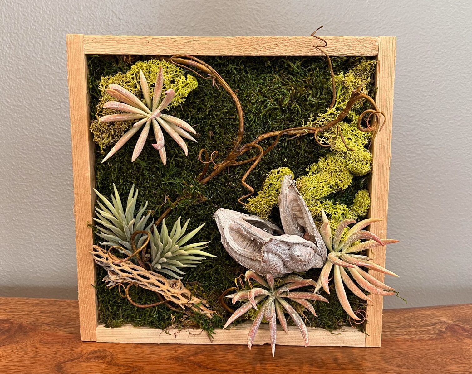 Cedar framed succulents with green moss, wood, vines, and seed pods