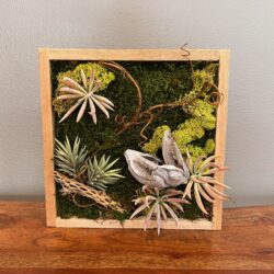 Cedar framed succulents with green moss, wood, vines, and seed pods