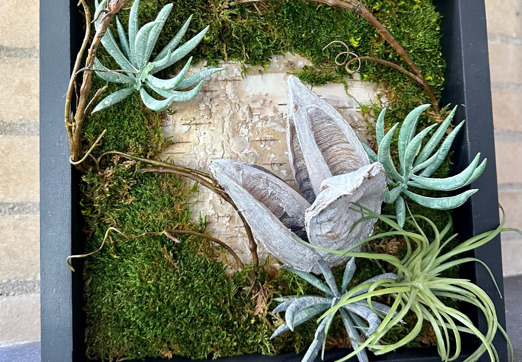 Framed succulent board with moss and seed pods