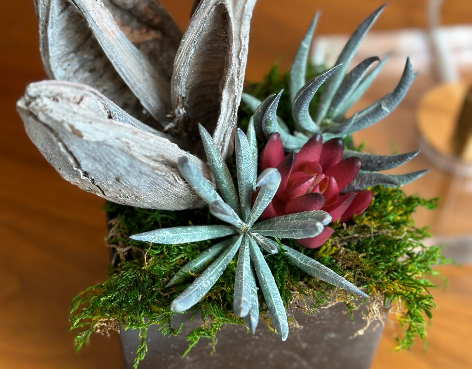 Bronze distressed cube with succulent and seed pod arrangement with moss