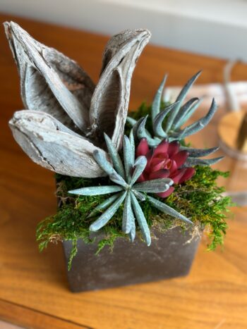 Bronze distressed cube with succulent and seed pod arrangement with moss