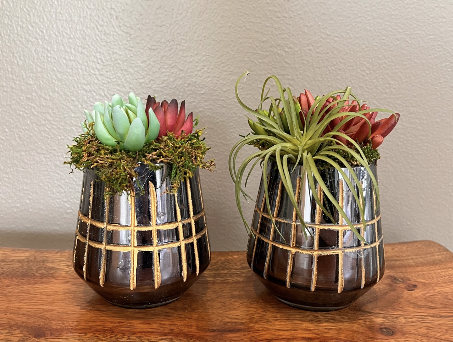 Succulents in mirror votive with moss