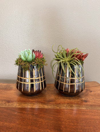 Succulents in mirror votive with moss