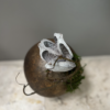 Gourd With Sora Pod