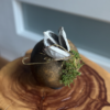 Gourd With Sora Pod - Image 2
