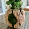 Fuchsia Orchid in Wood Sphere - Image 2