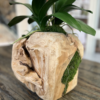 Fuchsia Orchid in Wood Sphere - Image 3